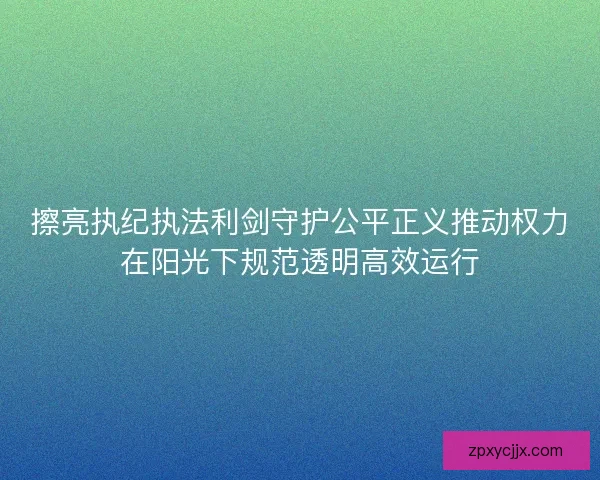 擦亮执纪执法利剑守护公平正义推动权力在阳光下规范透明高效运行